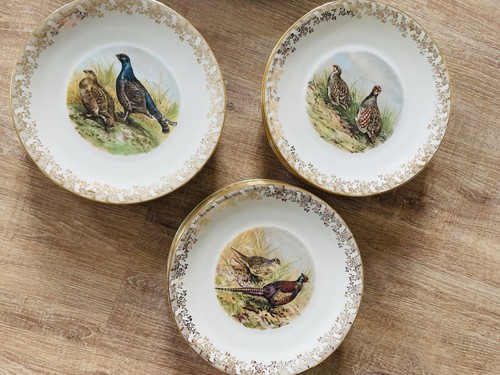 Limoges porzellan teller set - limoges,